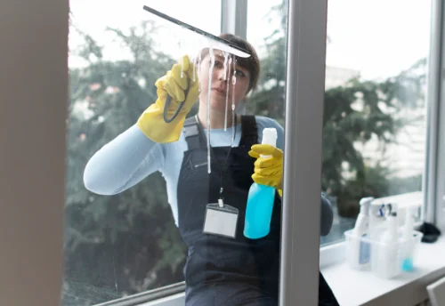 Nettoyage de vitres intérieures et extérieures à Saultain